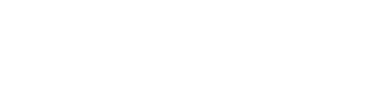 pentair-logo-white-no-bkgd